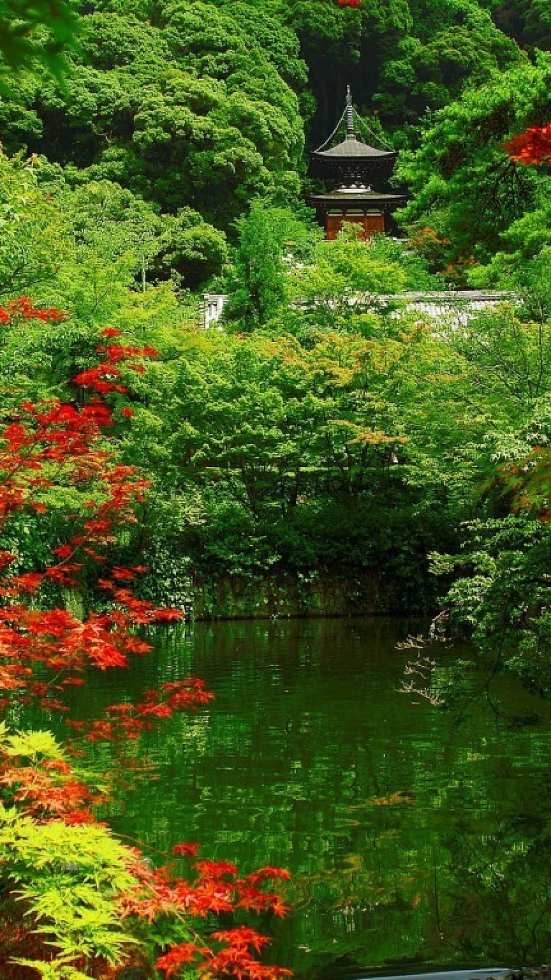 京都の日本庭園 Iphone Wallpapers